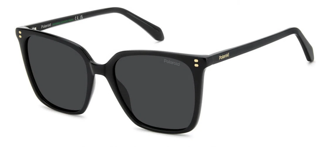 Polaroid Core PLD4201 Sunglasses - view 3